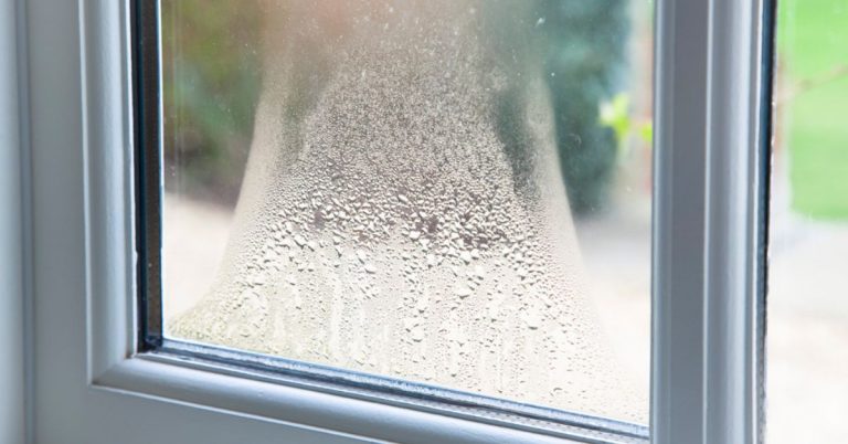 Supprimer la buée des vitres et la condensation chez soi : 6 astuces