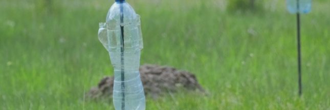Faire fuir les rongeurs et les taupes avec une bouteille en plastique