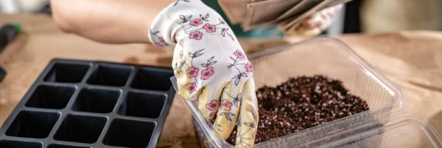 Préparer le potager du printemps en hiver