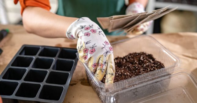 Préparer le potager du printemps en hiver