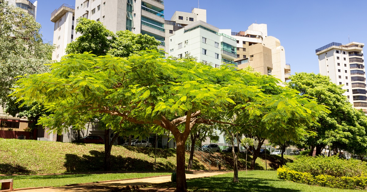 Connaissez-vous la règle des 3 - 30 - 300, essentielle pour votre santé mentale ? Connaissez-vous la règle des 3 - 30 - 300, essentielle pour votre santé mentale ?