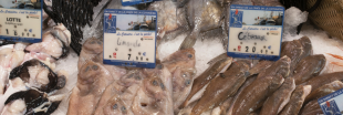 Produits de la mer : un étiquetage très souvent flou ou mensonger