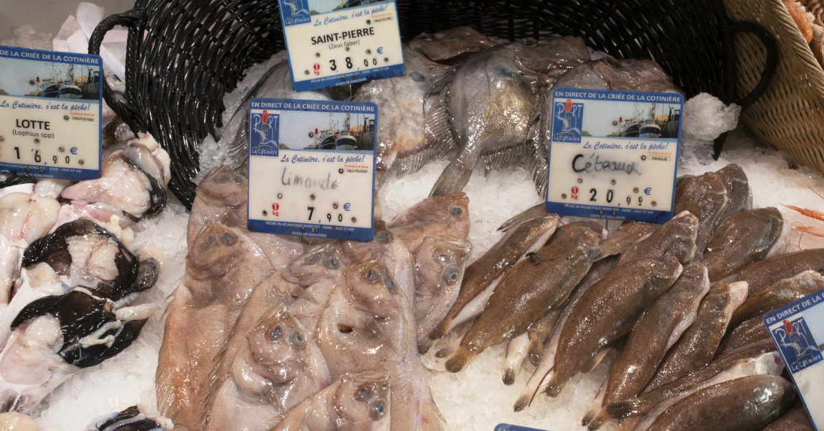 Produits de la mer : un étiquetage très souvent flou ou mensonger Produits de la mer : un étiquetage très souvent flou ou mensonger