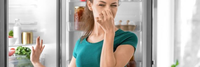 Ne pas perdre ses aliments conservés au frigo et congélateur en cas de panne de courant