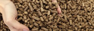 Énergie : les granulés en marc de café, moins chers et aussi performants que les pellets de bois