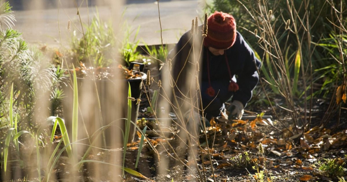 Jardiner en décembre : c'est le moment de réaliser ces 7 gestes essentiels