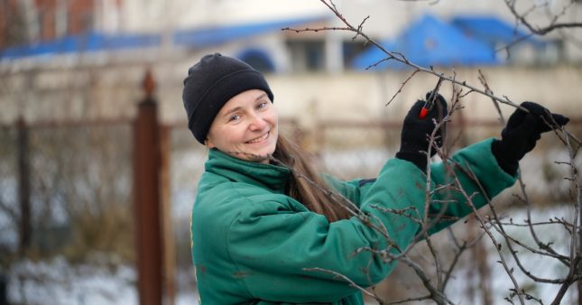Que faire au jardin et au potager en décembre ?