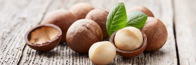 noix de macadamia bio santé bienfaits