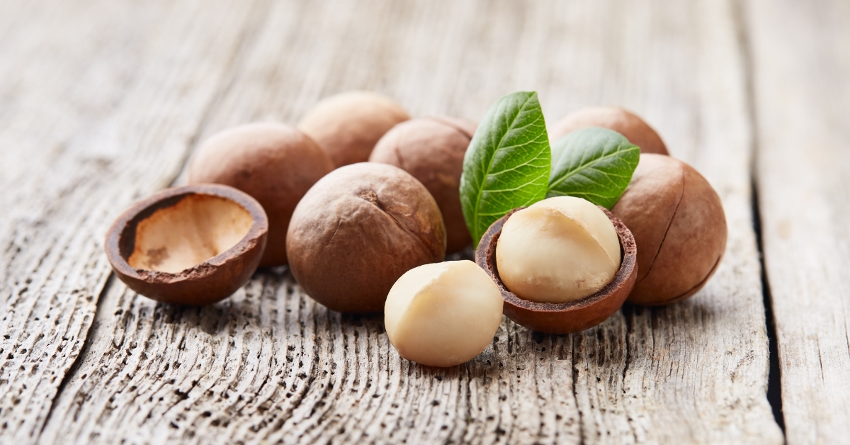 La noix de macadamia, l'anticholestérol par excellence