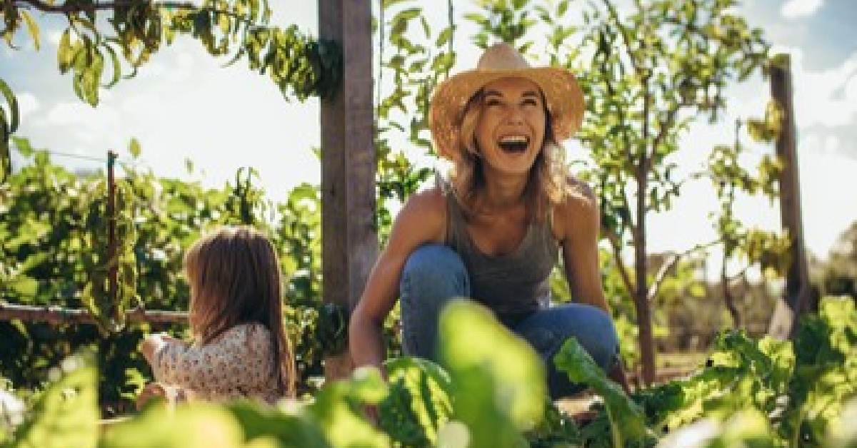 Best-of jardin : les articles les plus lus en 2022