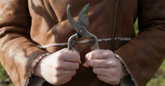 Les plantes à ne surtout pas tailler en hiver et pourquoi Les plantes à ne surtout pas tailler en hiver et pourquoi