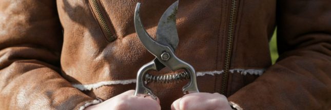 Les plantes à ne pas tailler en hiver