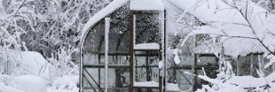 Empêcher une serre de geler en hiver : l'astuce simple et ultra-efficace d'un ingénieur Empêcher une serre de geler en hiver : l'astuce simple et ultra-efficace d'un ingénieur