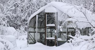 Empêcher une serre de geler en hiver : l'astuce simple et ultra-efficace d'un ingénieur