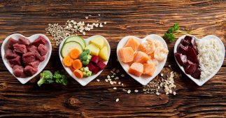 Alimentation : les conseils et recettes les plus lus de 2022 Alimentation : les conseils et recettes les plus lus de 2022