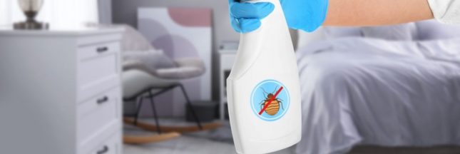 Les traitements contre les punaises de lit