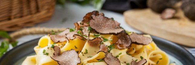 Reconnaître une vraie et une fausse truffe : bien choisir une truffe