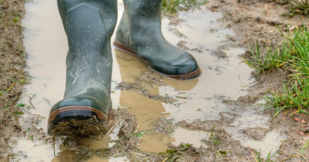 Votre jardin est boueux ? 3 astuces pour l’assécher et autres conseils