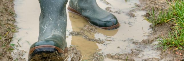 Comment assécher un jardin boueux ?