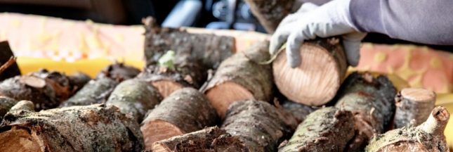 Énergie : les granulés en marc de café, moins chers et aussi performants que les pellets de bois