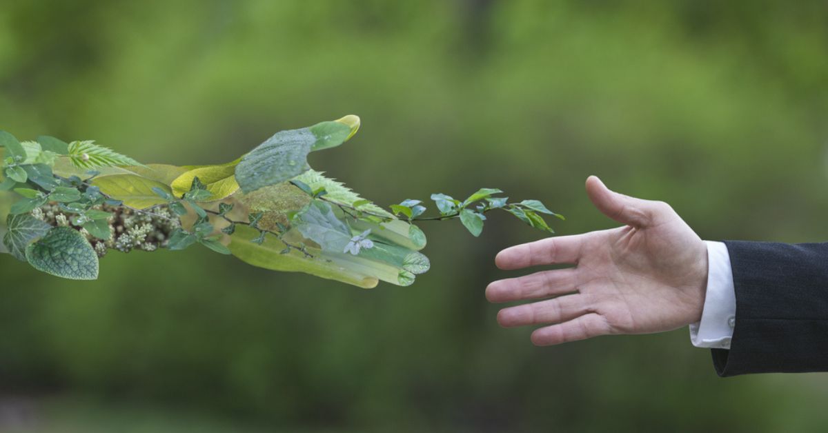 Jean-Bernard Lafonta et le Groupe HLD s’impliquent dans le développement durable