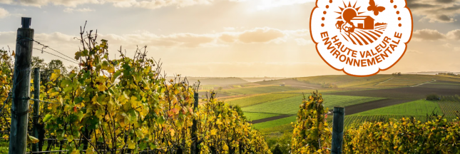 Le label « HVE » attaqué pour « greenwashing »