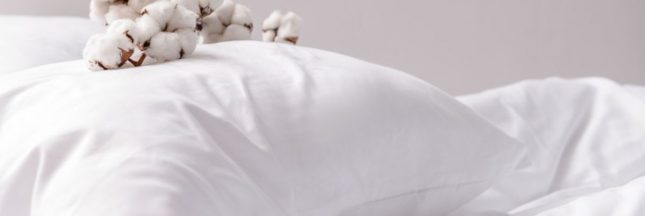 Comment laver un oreiller jauni ?