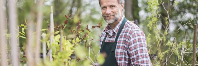 La levure de bière pour les plantes