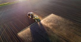 La fin des pesticides « tueurs d’abeilles » pour les betteraves ? La CJUE tranche