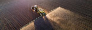 La fin des pesticides "tueurs d'abeilles" pour les betteraves ? La CJUE tranche