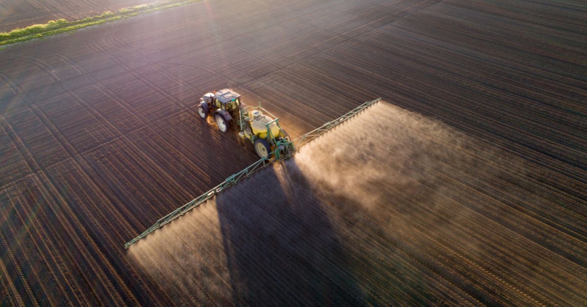 La fin des pesticides "tueurs d'abeilles" pour les betteraves ? La CJUE tranche