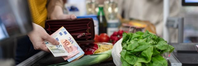Le pouvoir d'achat et l'inflation en 2023