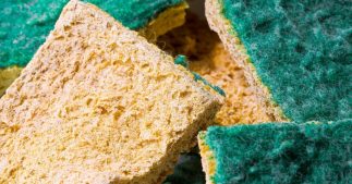 Comment recycler les vieilles éponges ?
