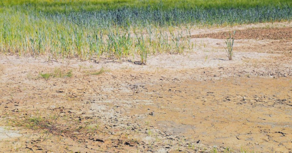 Les nappes phréatiques de l’Hexagone toujours à des niveaux préoccupants