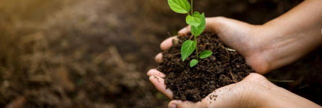 Des vacances écoresponsables en famille