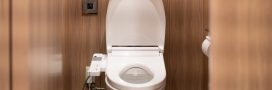 Les WC japonais sont ils plus écolo et hygiéniques que les toilettes classiques ?