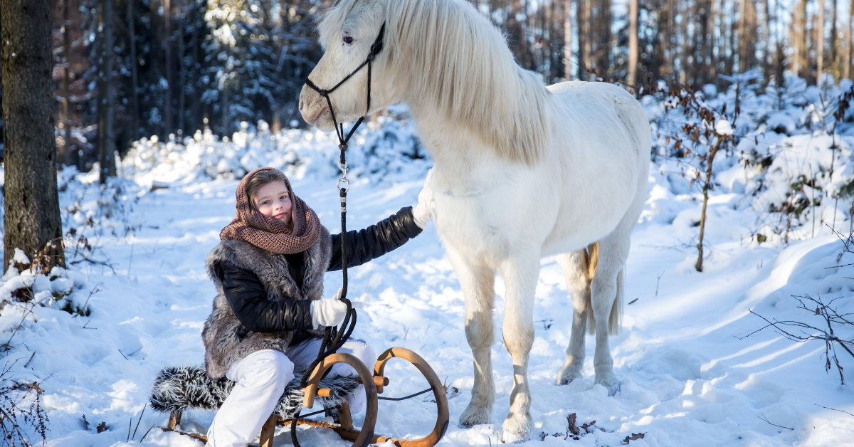 Les meilleures idées d'activité nature pendant les vacances d'hiver Les meilleures idées d'activité nature pendant les vacances d'hiver