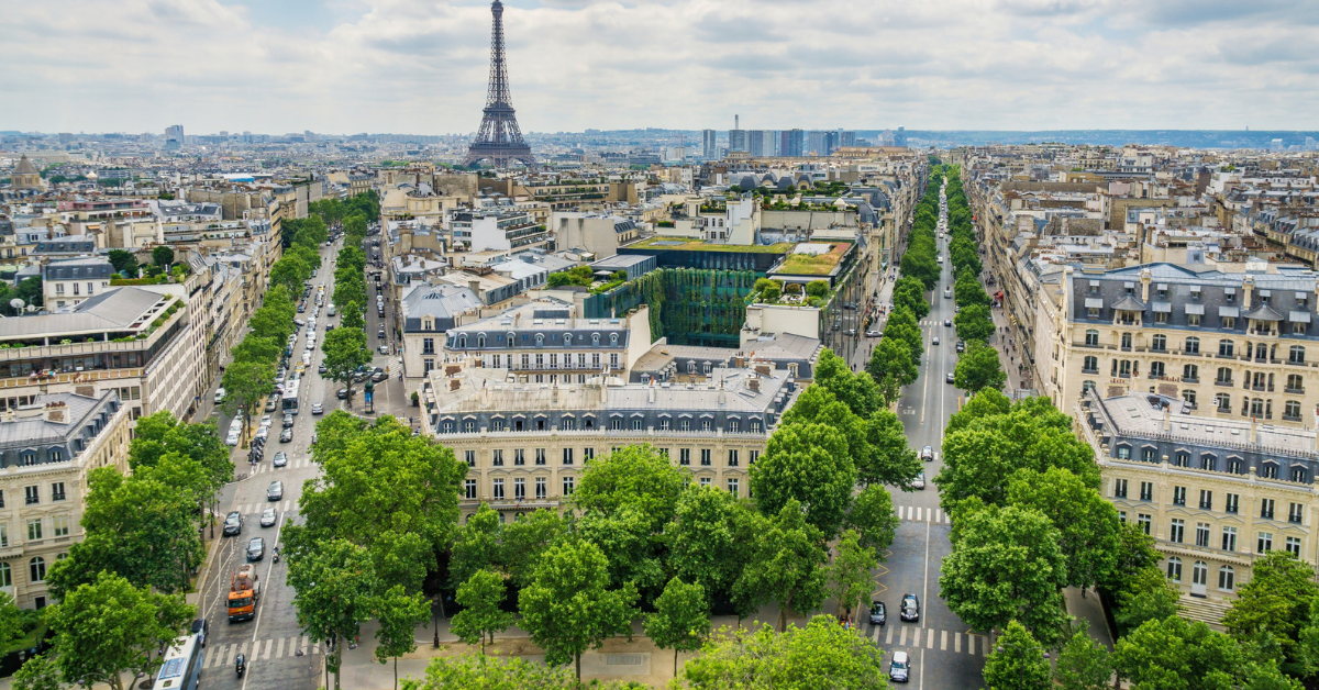 Des arbres pour lutter contre la canicule urbaine
