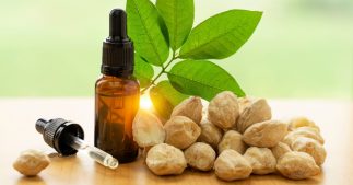 Connaissez-vous l'huile de kukui et ses incroyables vertus pour la peau et les cheveux ? Connaissez-vous l'huile de kukui et ses incroyables vertus pour la peau et les cheveux ?