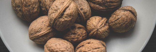 Le meilleur moment pour manger des noix : le soir.