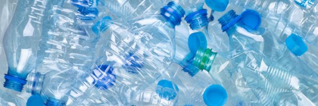 Une consigne pour les bouteilles en plastique