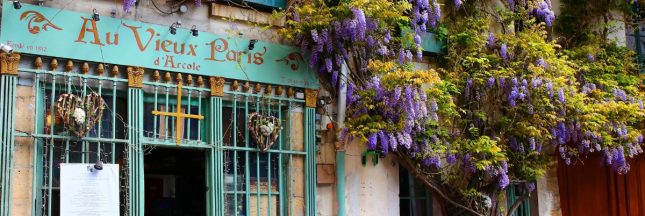 Comment avoir une belle glycine ?