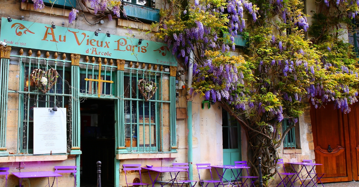 Avoir une belle glycine : les astuces pour une floraison abondante dès le printemps Avoir une belle glycine : les astuces pour une floraison abondante dès le printemps