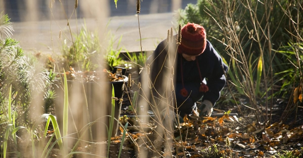 Jardiner en février : ces gestes essentiels à ne pas oublier au jardin, au potager et sous serre