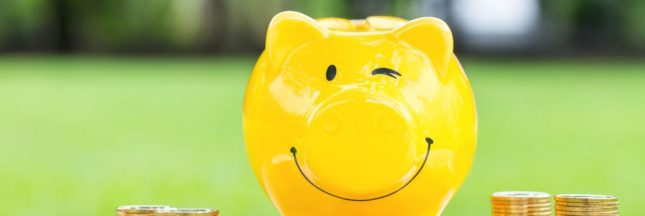 Les Français et le low-cost