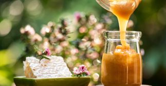 Le miel de Manuka, nectar aux vertus exceptionnelles Le miel de Manuka, nectar aux vertus exceptionnelles
