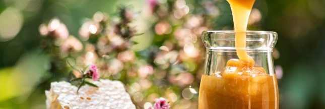 miel de manuka