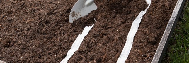 Les rubans de graines pour préparer le potager de printemps