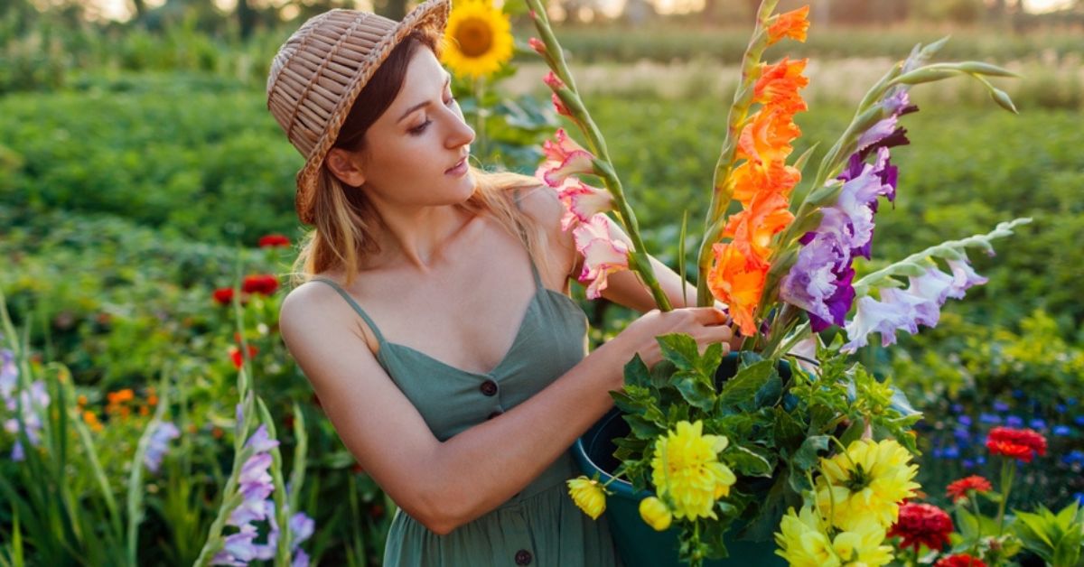 Au printemps, plantez les bulbes d’été pour un jardin éclatant de couleurs !