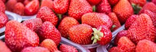 Ce que vous devez savoir avant d'acheter vos fraises en supermarché...